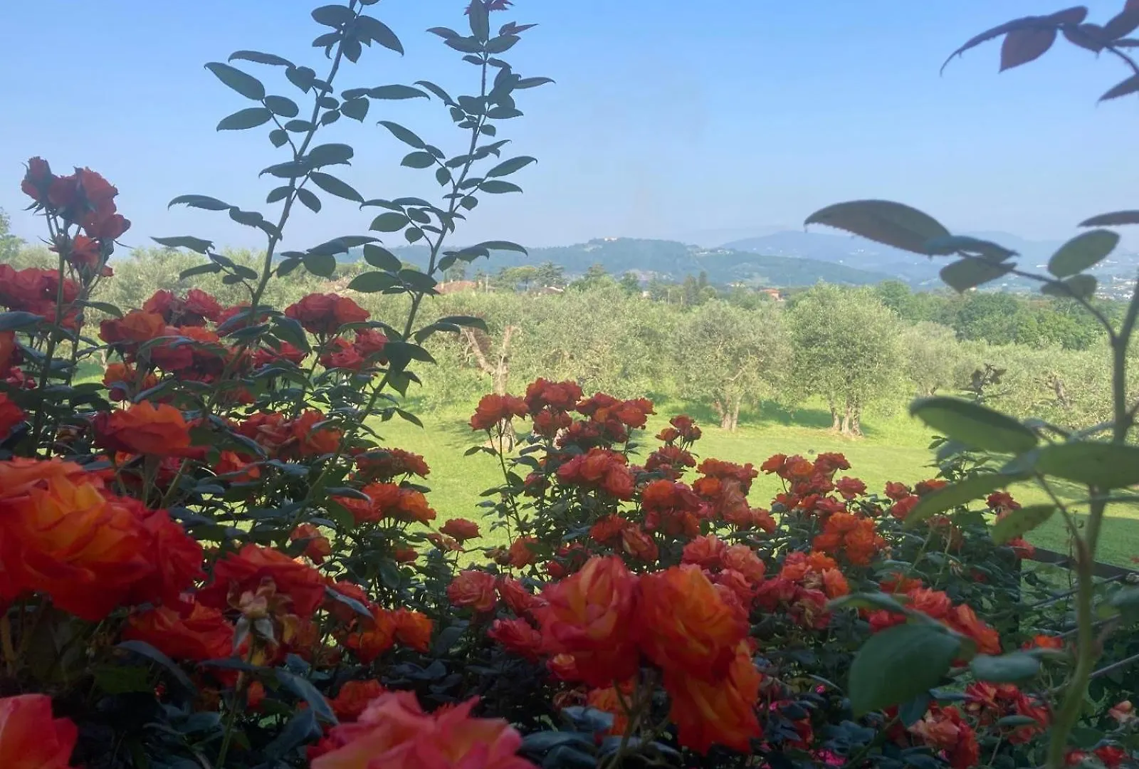 Podere Agli Arrighi Apartment Signa
